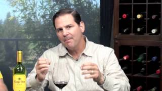 Campo Viejo Rioja Tempranillo 2010 Two Thumbs Up Wine Review [upl. by Damek]