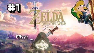 The Legende Of Zelda Breath Of The Wild  LE VIEUX EST PARTOUT  1 [upl. by Iruahs]