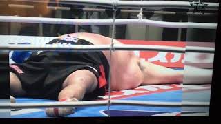 Remy Bonjasky vs Akebono short video KO round 3 2004 [upl. by Kehoe]