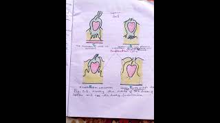 Fertilization And Its Biochemical Events [upl. by Eendys547]