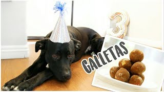 Galletas Caseras para Perros  Sin Horno  SUSANA ORTIZ [upl. by Melosa]