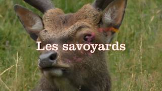 Les savoyards [upl. by Atimad]