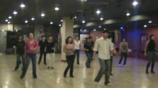 Simply Shuffle  Line Dance Demo amp Walk Through [upl. by Reivad]