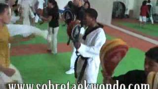 Técnicas de GIRO en Taekwondo Spinning kicks in Taekwondo [upl. by Shifrah829]