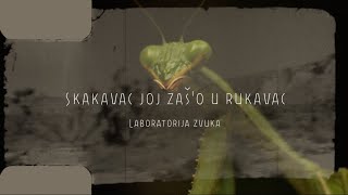 Laboratorija zvuka  Skakavac joj zašo u rukavac Official lyric video [upl. by Briano]