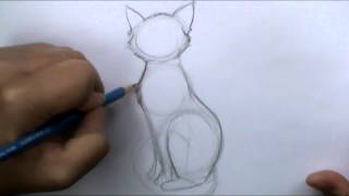 How to draw a basic cat sitting [upl. by Donelle]