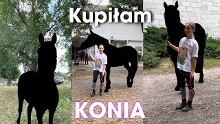 KUPIŁAM KONIA🤯 [upl. by Anitsyrk925]