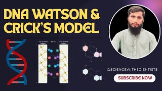 DNA StructureDNA Compositionडीएनए संरचना डीएनए संरचनाDNA WATSON CRICKs MODEL [upl. by Jordans]