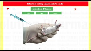 Routes of Drug Administration Demonstration in Mice and Rat Through Expharm Software  Expharm [upl. by Quenna469]