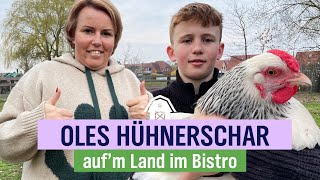 Oles Hühnerschar  Hühnermobil der Extraklasse  Folge 5  NDR aufm Land [upl. by Arikahs741]