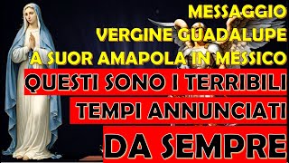 Messaggio Vergine Guadalupe a Suor Amapola in Messico  Ecco i Terribili Tempi Annunciati da Sempre [upl. by Wons958]