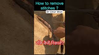 How to remove stitches l cow l sutures l dr Umar khan [upl. by Allehcram]