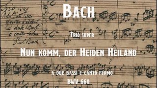 Bach  Trio super Nun komm der Heiden Heiland BWV 660 [upl. by Essilem]