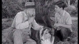 Lassie  Episode 101  quotThe Apple Treequot  Season 3 36 051257 [upl. by Hainahpez229]