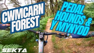 CWMCARN MTB Pedalhounds Y Mynydd amp Twrch [upl. by Gytle]