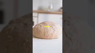 Quick amp Easy Ciabatta Recipe in 60 Seconds [upl. by Dunham878]