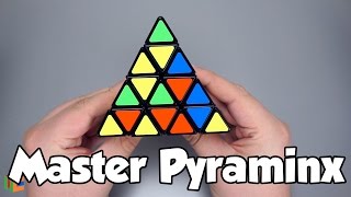 ShengShou Master Pyraminx Unboxing  Solve  TheCubicleus [upl. by Sathrum]