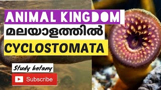 CLASS CYCLOSTOMATA CHAPTER4 ANIMAL KINGDOM PLUS ONE BIOLOGY MALAYALATHIL PART16 STUDY BOTANY SB [upl. by Khai]