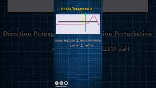 Les Ondes Mécaniques Progressives 🔻onde transversale et longitudinale 🔻الموجات الميكانيكية المتوالية [upl. by Domini]