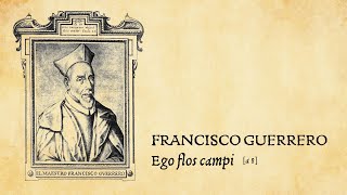 Francisco Guerrero • Ego flos campi a 8 [upl. by Aidualc]