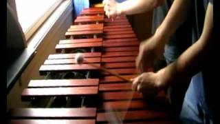 Zelda Links Awakening  Tal Tal Heights on Marimba [upl. by Broder668]