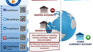 Understanding Exchange Controls [upl. by Peters]