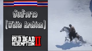 จับม้าหายาก  White Arabian Horse   Red Dead Redemption 2 PS4 [upl. by Hareemas]