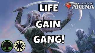 2022 SELESNYA LIFE GAIN  ANGELS amp CLERICS  mtg arena  DampD NEW MYTHIC DECK STANDARD BO1 150 VIDEO [upl. by Raseta]