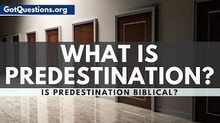 What is Predestination  Predestination in the Bible  GotQuestionsorg [upl. by Borrell460]