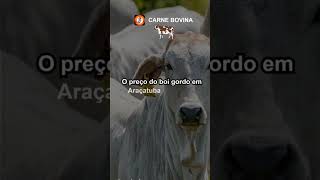 Carne bovina em alta [upl. by Neneek699]