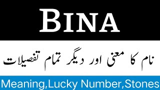 Bina Name Meaning In Urdu  Bina Naam Ka Matlab Kya Hota Hai  Bina Ka Matlab Kya Hai [upl. by Nileuqcaj216]