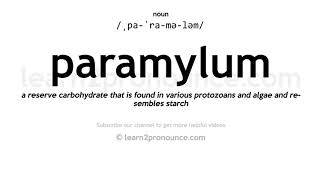 Pronunciation of Paramylum  Definition of Paramylum [upl. by Norrad]