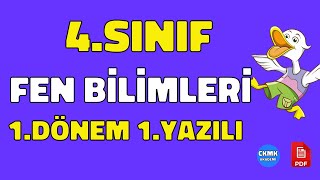 Fen Bilimleri 4Sınıf 1Dönem 1Yazılı Soruları ve Çözümü YENİ 99 Çıkabilir 😊😊😊 [upl. by Etteuqaj]