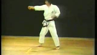 Heian shodan 1º kata shotokan karate do [upl. by Nerhe473]