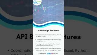 API Bridge Features  India Algo  Fully Automatic Trading Software Solution With Free Demat Account [upl. by Vivien]