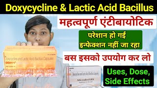 Doxycycline and lactic acid bacillus capsules  microdox lbx capsule uses in hindi [upl. by Elatsyrk]