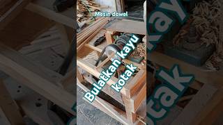 Mesin dowel 2 videoshort woodworking dowell wood sangkarburung [upl. by Madeline539]