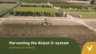 Harvesting the Airpot Usystem  Activities of Volentis [upl. by Yengac]