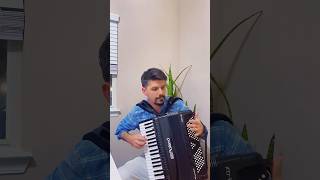 Skillet  Comatose on Accordion accordionist music [upl. by Myrt]