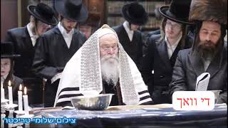 Kretchnif Rebbe Reading megillah  Purim 5784 [upl. by Enetsirk]