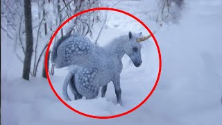 5 Unicorns Caught On Camera ♦️ Real Life Unicorns [upl. by Mide]