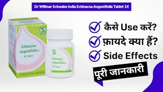 Dr Willmar Schwabe India Echinacea Angustifolia Tablet 1X Uses in Hindi  Side Effects  Review [upl. by Sherl743]