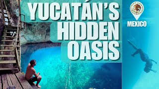 Discover Yucatans Best Cenote Freediving amp Cliff Jumping Adventure [upl. by Megargee78]