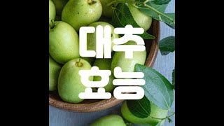 대추의효능 Benefits of Jujube 건강 [upl. by Etnwahs]