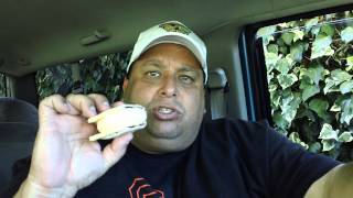 Strawberry PopTart Ice Cream Sandwich REVIEW [upl. by Nagiam891]