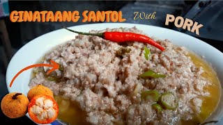 Ginataang Santol with Pork Recipe  Bicolano Dish  Simple Santol Recipe  Cabigas Chop Tv [upl. by Remus]