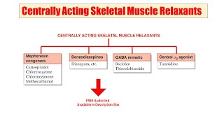 26 Centrally Acting Muscle Relaxant  AUDIO Pharmacological Classification  Muscle Relaxant [upl. by Arne]