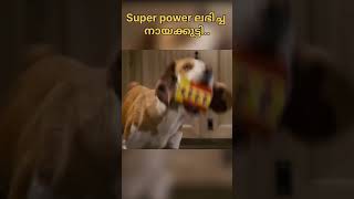 സൂപ്പർ നായയുടെ അസാധാരണ പവർസ്dogSuperdogdogpowers movie horrormoviemalayalamexplanationfilm [upl. by Osman]