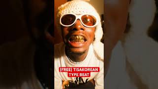 FREE TISAKOREAN TYPE BEAT  FLASHY ProdL33BRA typebeat tisakorean [upl. by Kcuhc508]