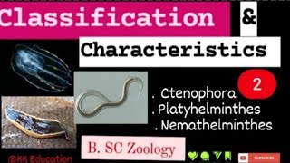 Classification amp Characteristics  2 l Ctenophora l Platyhelminthes l Nemathelminthes l [upl. by Aramenta]